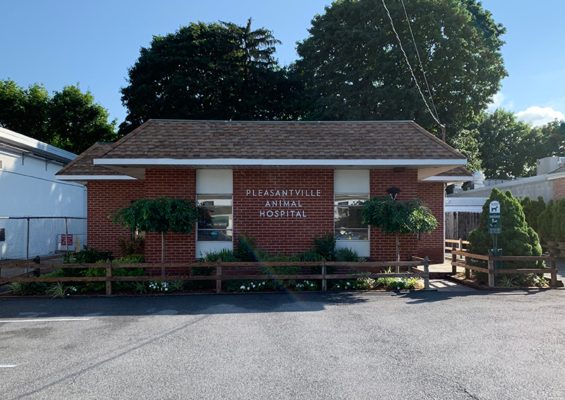 Contact Us Pleasantville Animal Hospital